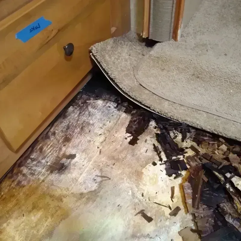 Wood Floor Water Damage in Shady Cove, OR